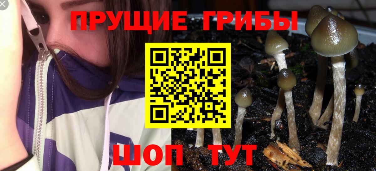 Галлюциногенные грибы Cubensis  сколько стоит  Барабинск  Вход с VPN 